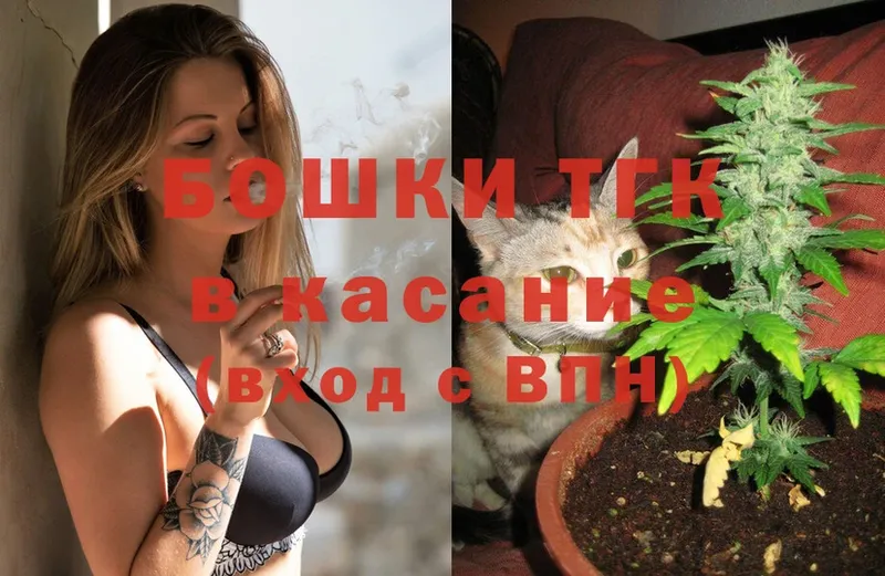 Бошки марихуана план  Великий Устюг 